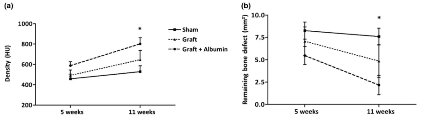 Graft: 9 ± 2.5%; sham: 1 ± 0.4% HU; p &lt; 0.05; Figure 3). Microscopic analysis also showed better bone regeneration in the albumin ‐ coated group