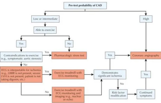 Figure 2. Evaluation for hemodynamically significant coronary artery disease (CAD) in clinically stable  patients