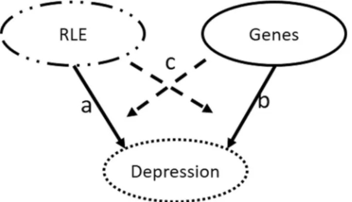Figure 4.  The role of all investigated candidate genes reveals in gene-environment interactions instead  of main effects in the development of depression