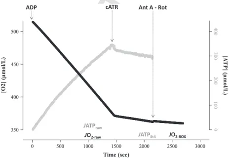Figure 2. Output from a representative experiment, using homogenized brown trout liver, showing changes in oxygen and ATP content as a function of time