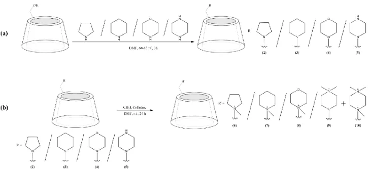 Figure 1. Synthetic schemes and structures of the N-heterocycle-substituted β-CD derivatives