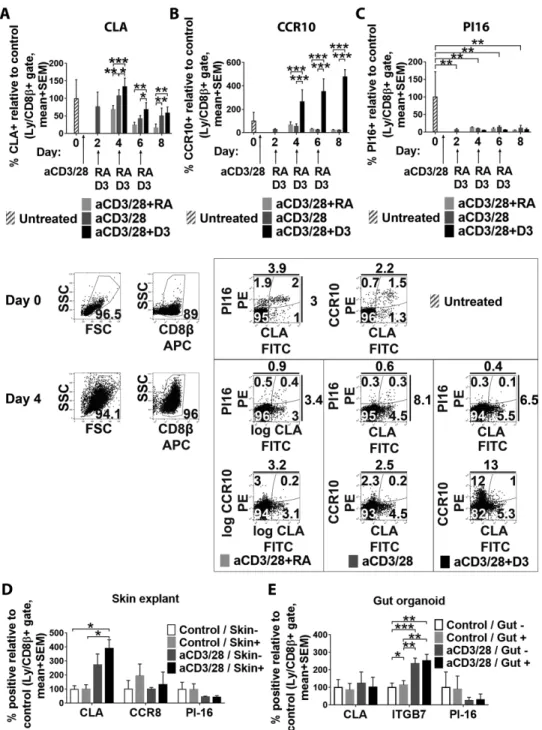 Figure 6. Investigation of the induction of PI16 expression in skin-homing CD8β + T cells