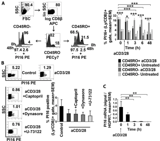 Figure 7. Analysis of the termination of PI16 expression in skin-homing CD8 + /CD45RO + T cells