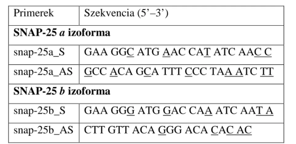 3. táblázat: A valós idej ű  PCR méréshez tervezett specifikus primerek szekven- szekven-ciája