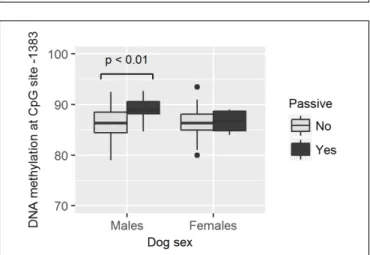 FIGURE 7 | Association between methylation levels at position –1383 and the likelihood of dogs to approach the experimenter in an appeasing way