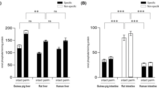 Figure 2. Glucose-6-phosphatase enzyme activity in the liver (A) and the intestine (B) with the  glucose-6-phosphate substrate by measuring phosphate production