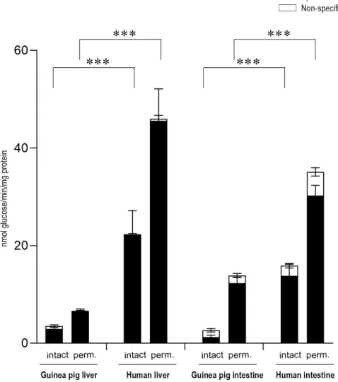 Figure 6. Fructose-6-phosphate-dependent glucose production in liver and intestinal microsomes