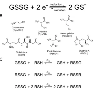 Figure 1. (A) The thiol-disulfide redox half-reaction between GSH and GSSG. (B) The structural formulae of  the thiols studied