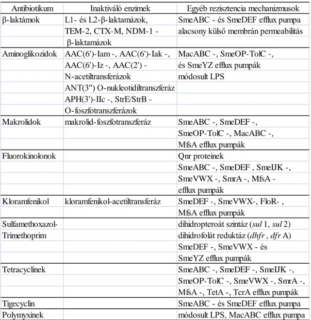 2. táblázat: A S. maltophilia antibiotikum rezisztencia mechanizmusai (75) 