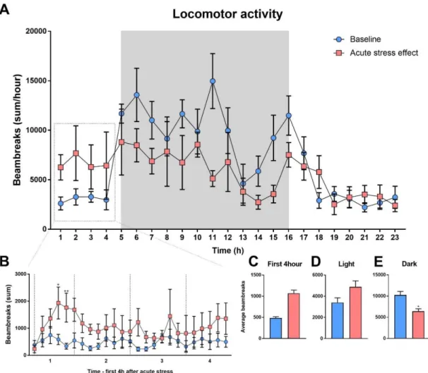 Figure 10. Acute stress effect on locomotor activity. 