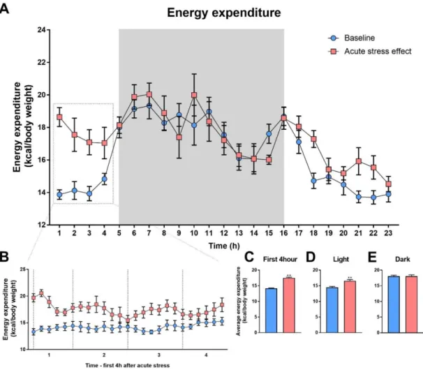 Figure 12. Effect of acute stress on energy expenditure. 