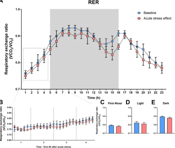Figure 13. Effect acute stress on respiratory exchange ratio (RER). 