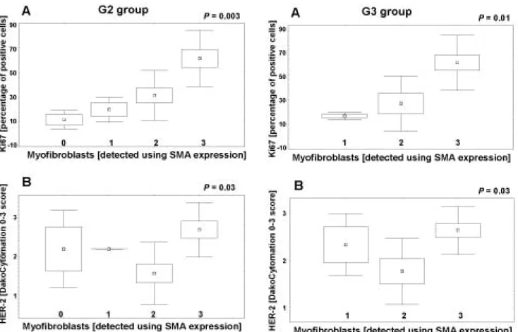 Fig. 4. In G3group, cases with the highest content of myofibroblasts exhibit: A. Higher content of cancer cells with Ki67 expression; B.