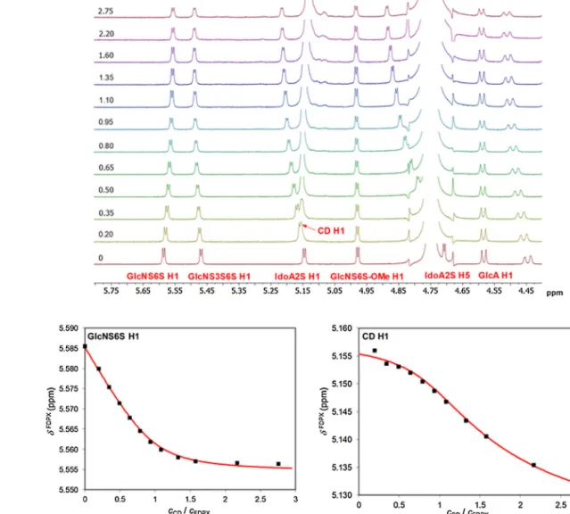Fig. 3. Representative 1 H NMR chemical shift changes (subplot A) of the FDPX 1 H resonances upon titration of 3.4 mM FDPX solution with increasing portions of a 20.1 mM NH 2 -␤-CD solution at pD 7.4