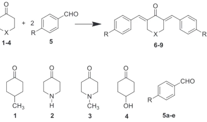Fig. 2. Synthetic homo- and heterocyclic C 5 -curcuminoid model compounds 6e9 with four different cyclanone cores and ﬁve aromatic substituents.