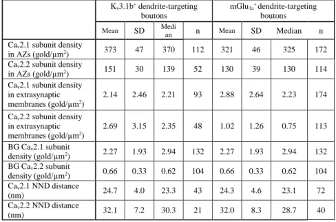 Table 2. Properties of Ca v  immunoreactivities in K v 3.1b +  and mGlu 1a +  dendrite-innervating  axon  terminals