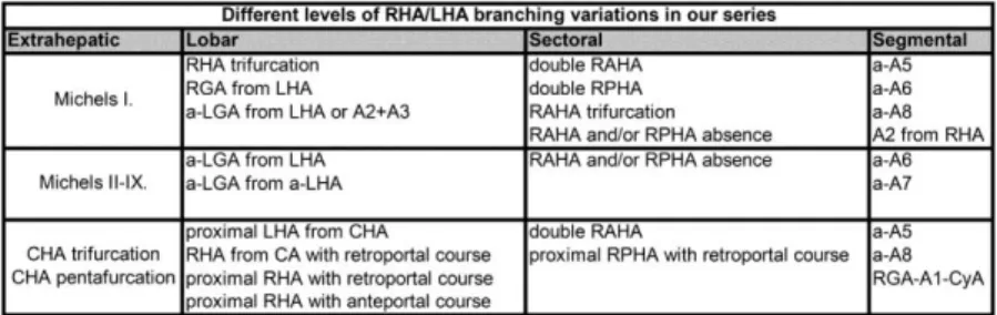 Table 4: Levels of RHA/LHA arborization patterns. The variations can be combined  independently of one another