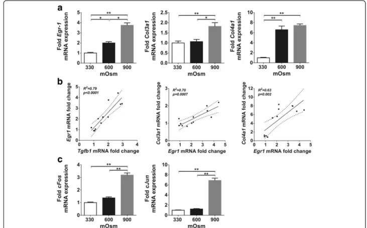Fig. 4 Effect of chronic hyperosmolarity on the expression of profibrotic genes and transcription factors in IMCD cells