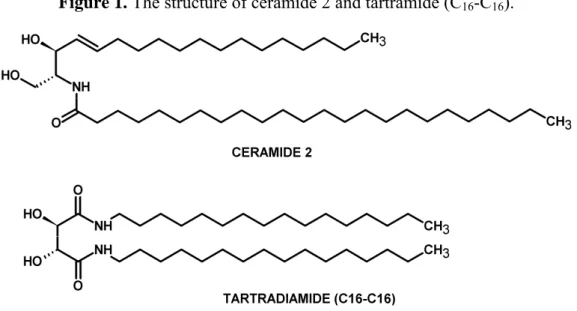 Figure 1. The structure of ceramide 2 and tartramide (C 16 -C 16 ). 