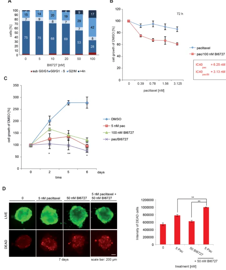 Figure 5: BI6727 treatment sensitizes patient-derived HGSOC cells to paclitaxel.  (A) Primary tumor cells were treated with  increasing BI6727 concentrations and the cell cycle distribution was analyzed by flow cytometry