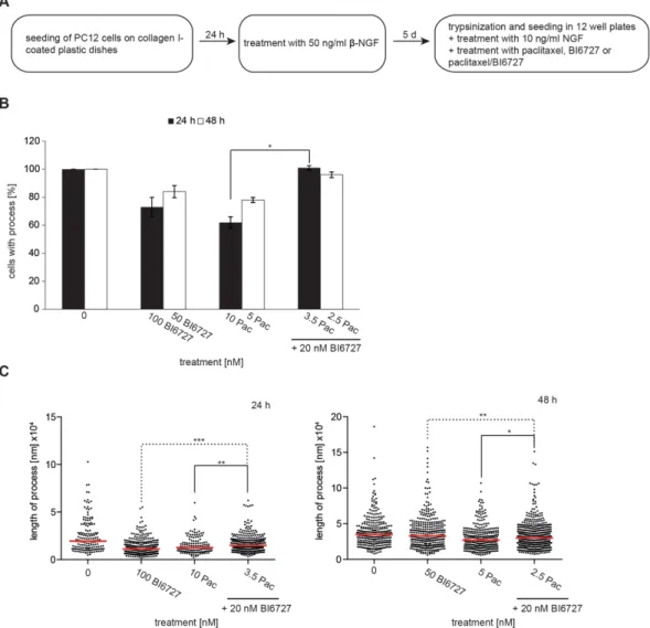 Figure 6: The combinatorial treatment of paclitaxel and BI6727 reduces neurotoxicity.  (A) Experimental set up of neurotoxicity  analysis using PC-12 cells