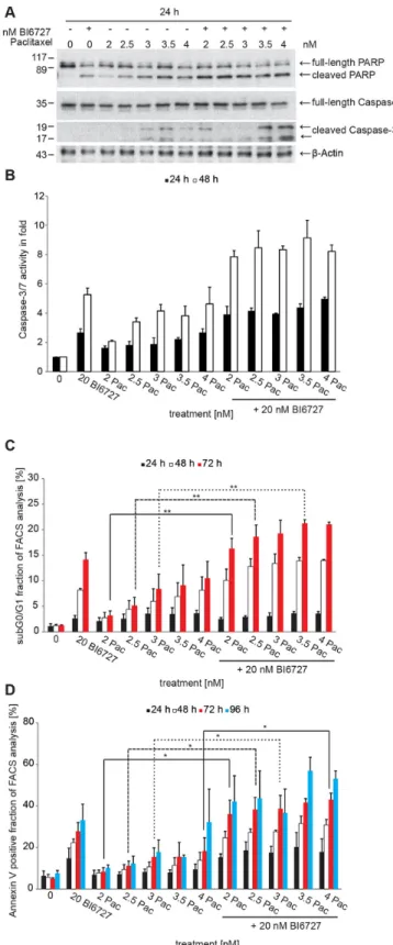 Figure 2: The combinatorial treatment of BI6727 and paclitaxel induces pronounced levels of apoptosis