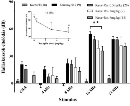 7. ábra: A rasagilin mérsékelte a kanamycin indukálta hallásvesztést BALB/c egerekben