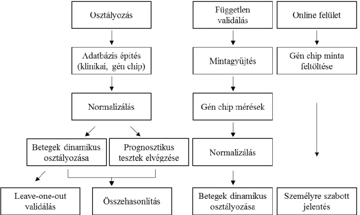 9. ábra. Rossz prognózisú emlődaganatok dinamikus azonosítása    