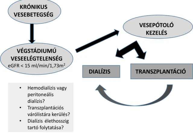 1. ábra A krónikus vesebetegség különböző kezelési stádiumai 