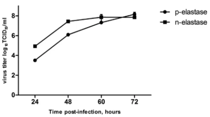 Figure 1. Schematic Representation of Modifications in the HA Cleavage Site