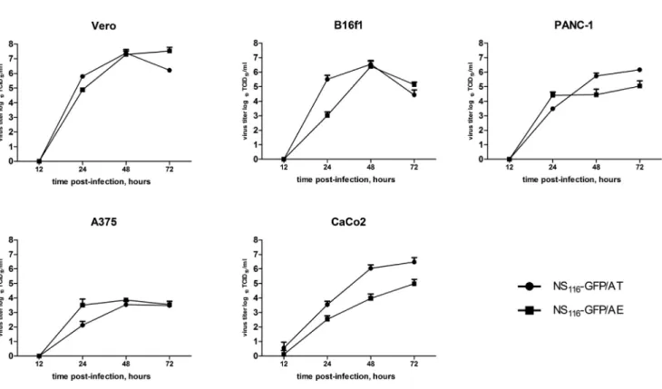 Figure 4. Growth of NS 116 -GFP/AT and NS 116 -GFP/AE Viruses in Different Cell Lines