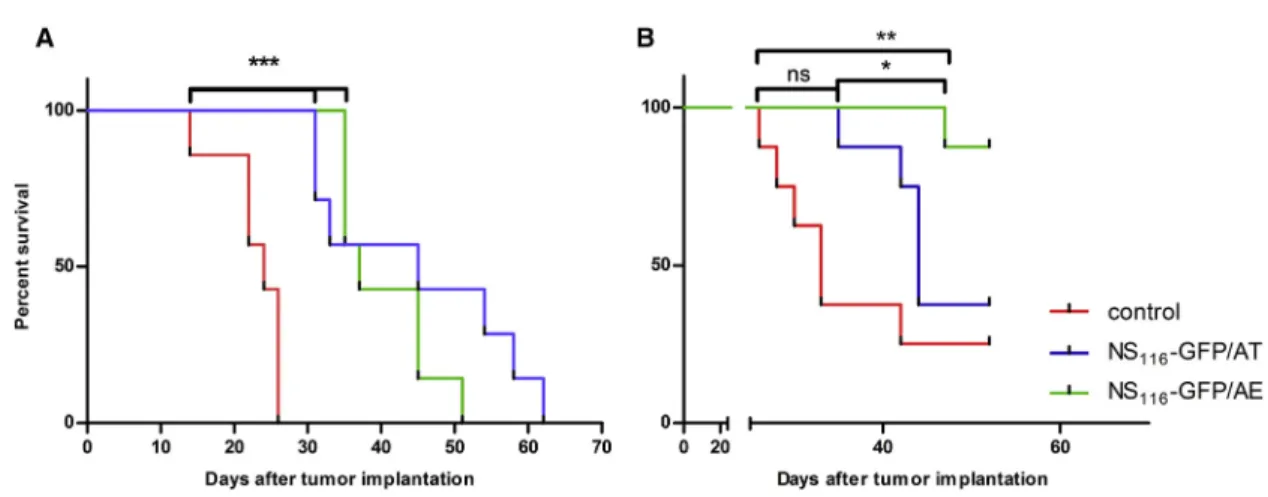 Figure 5. Effect of NS 116 -GFP/AT and NS 116 -GFP/AE Treatment on the Survival of B16f1 Melanoma- and PANC-1-Bearing Mice