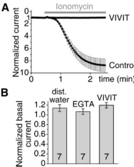 FIGURE 3. Microinjection of the VIVIT peptide eliminates the calcium-dependent activation of TRESK but does not influence the current of the resting channel.A, two groups of oocytes expressing wild type TRESK were microinjected with 50 nl of VIVIT peptide 