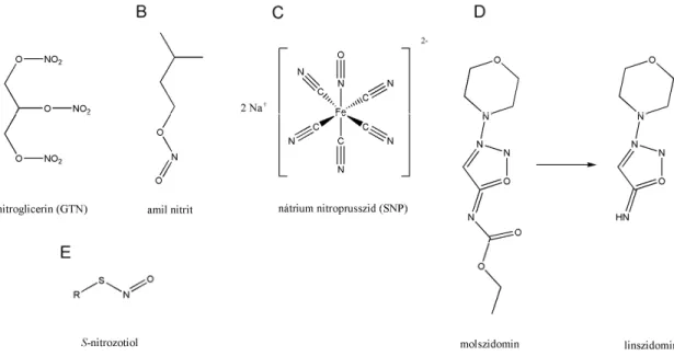 1. ábra A NO donor típusok szerkezeti képlet: szerves nitrát (A), szerves nitrit (B),  szervetlen nitrozo vegyület (C), imin (D), nitrozotiol (E) 