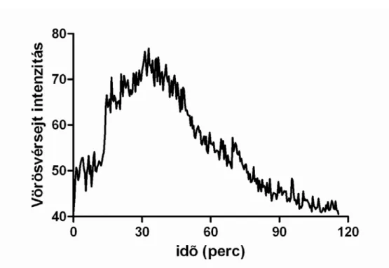 3. ábra: 40 mM-os GSNO oldat hatása a véráramlásra   laser Speckle kontraszt elemzéssel (n=8)