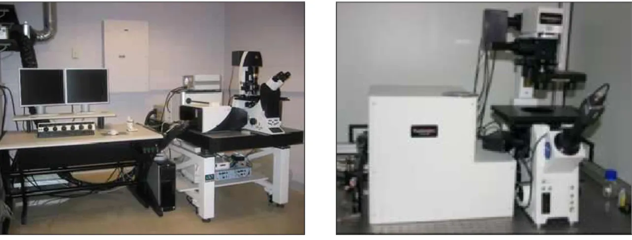 9. Ábra: Kísérleteink során használt multi-foton mikroszkópok típusai. Az állatok fluoreszcens képalkotása  egyrészt  Leica  TCS  SP5  (Leica-microsystems,  Wetzlar,  Germany)  konfokál/  multi-foton  lézer  szkennelő  mikroszkóp  rendszerrel  történt,  am