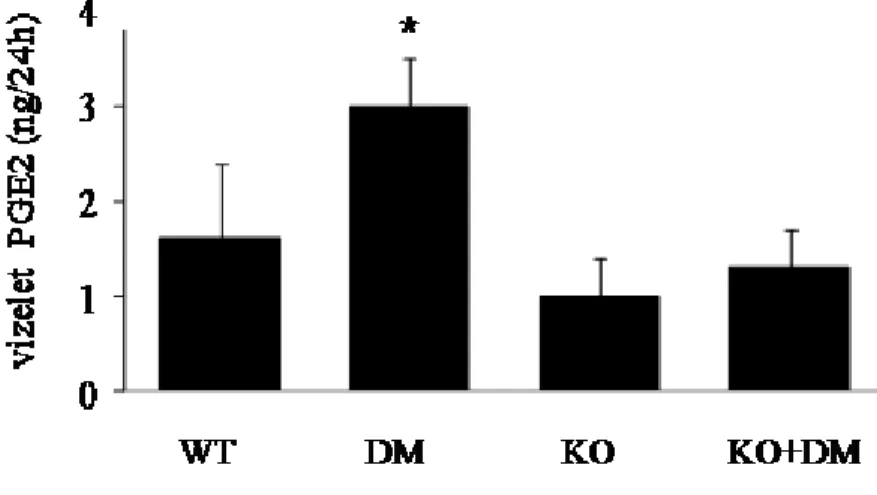KO; DM+KO; p ≤ 0,05 vs.WT) (23. Ábra).  