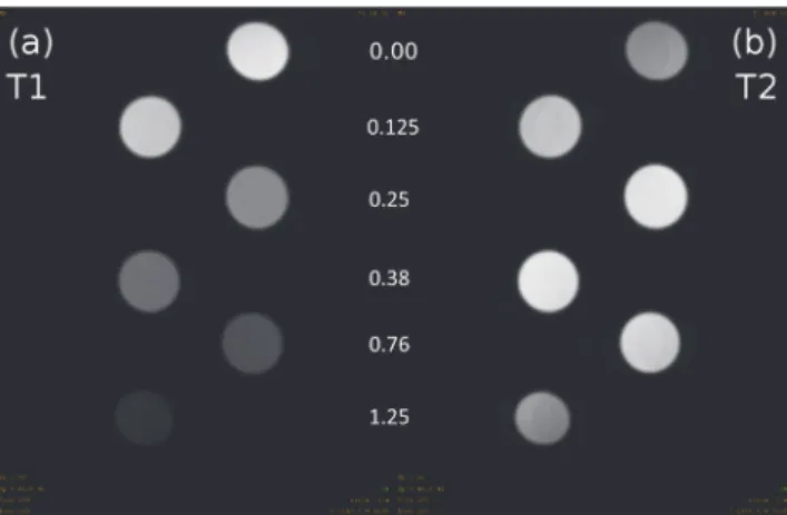 Figure 4: T1-weighted inversion prepared snapshot gradient echo (a) and T2-weighted multiecho spin echo (b) images of a  phan-tom containing five different concentrations 0.125 mM, 0.25 mM, 0.38 mM, 0.76 mM, and 1.25 mM of PBNP solutions were scanned and s
