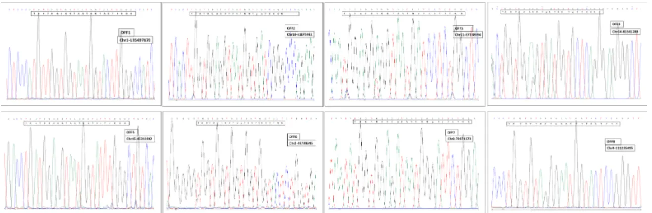 Figure 5. Sequence analysis of the eight candidate off-target sites predicted for NOX4 second exon sgRNA.