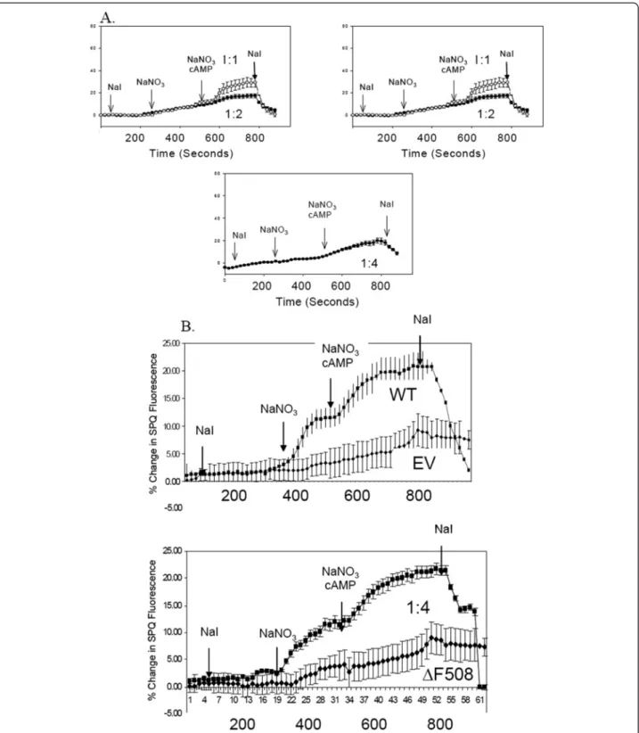 Figure 3 Co-expression of increasing amounts of Δ F-CFTR alters the function of WT-CFTR in IB3-1 CF epithelial cells but not in HEK293T cells