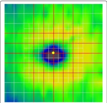 Figure 1 Macular map showing the scanning lines of the RTVue MM5 protocol. The protocol consists of 34 line scans (white and red lines)