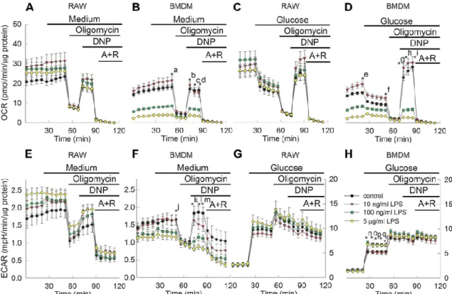 Figure 9. Effect of LPS on BMDM and RAW-264.7 cells on OCR and ECAR in the  presence  or  absence  of  glucose,  upon  addition of  various  metabolic  inhibitors