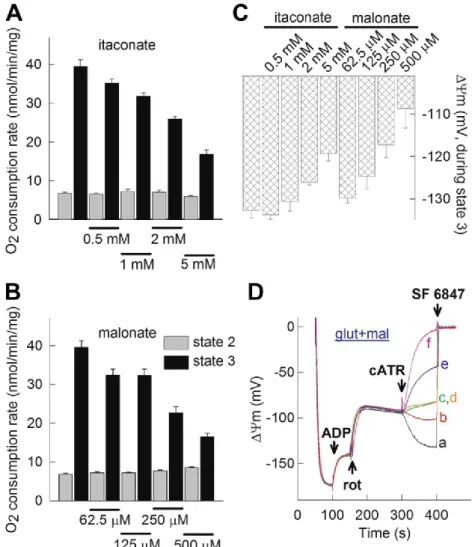 Figure  11.  Effects  of  itaconate  and  malonate  on  SDH.  Bar  graphs  of  the  effect  of  itaconate  (A)  and  malonate  (B)  on  OCRs  expressed  as  nmol/min/mg  protein  (state  2,  grey  bars;  state  3  induced  by  2  mM  ADP,  black  bars),  i