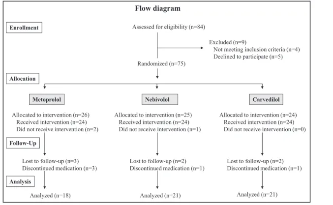 FIGURE 1. Flow diagram representing the progress of the phases of the study.