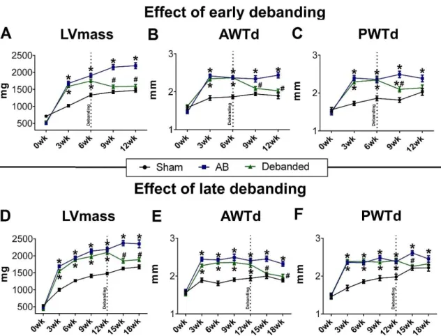 Figure 19. Direct comparison of left ventricular hypertrophy regression between the early and  the late debanded groups