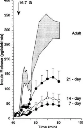Figure 4. Insulin release from islets from rats of different ages in response to 16.7  mM glucose (G)