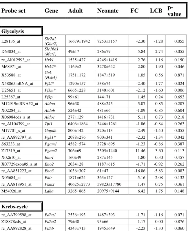 Table  3.  Expression  of  metabolic  genes  in  beta  cells  grouped  into  functional  categories  (Glycolysis,  Krebs-cycle,  Mitochondrial  shuttles)