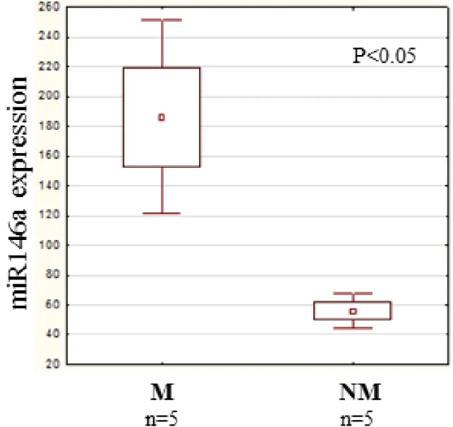 Figure 10: miR146a expression in human primary melanoma.  We  investigated  the  quantitative  expression  of  miR146a  in  randomly selected 5 metastatic and 5 non-metastatic primary melanomas
