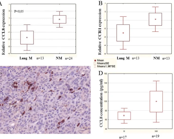 Figure 6: CCL8 expression in human primary melanoma samples.  Human melanoma samples were divided into two groups: 