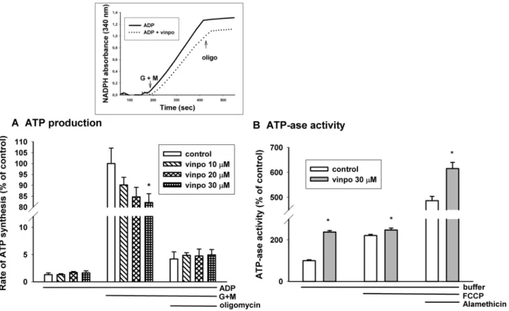 Fig. 8    Effects of vinpocetine on mitochondrial ATP synthesis (a)  and ATPase activity (b)